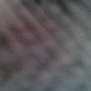 izabellalandinghamstudent avatar