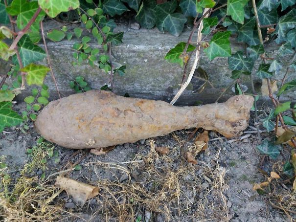 Forbidden Chicken Wing