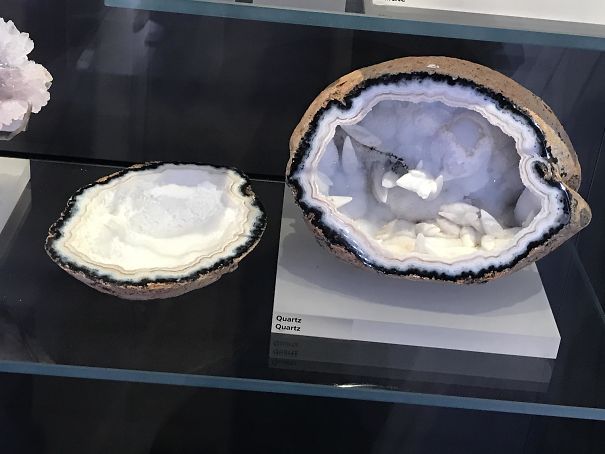 Forbidden Coconut
