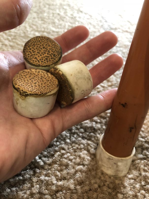 Forbidden Toasted Marshmallows