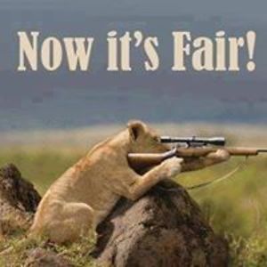 lindaseaquist avatar