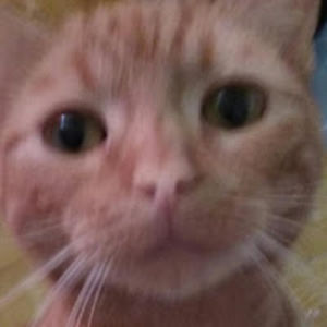 idahogarth-murphy avatar