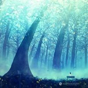 cheyannedavison avatar