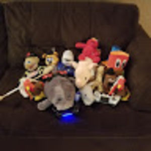 plushnpuppetshenanigans avatar