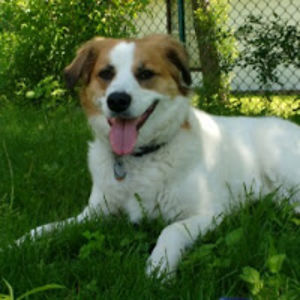 melissaflannery avatar