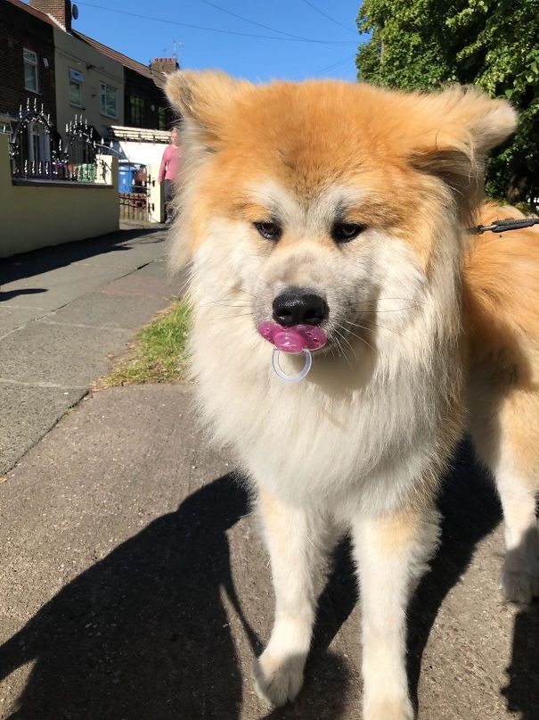 She Has An Addiction, It’s Like She Sniffs Them Out! She Has A Collection At Home That’s She Has Found Out And About