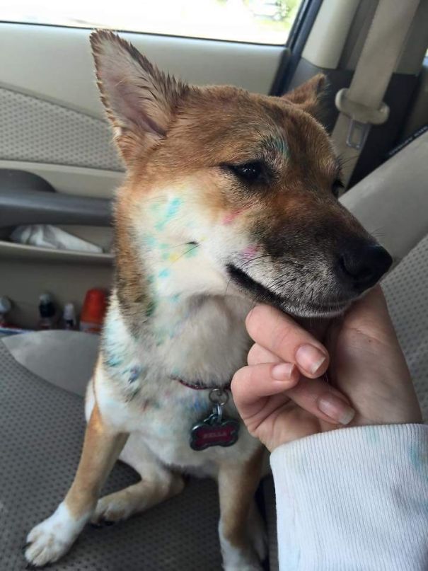 Opened The Window During Automatic Carwash