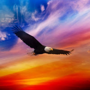 alfredyoungman avatar