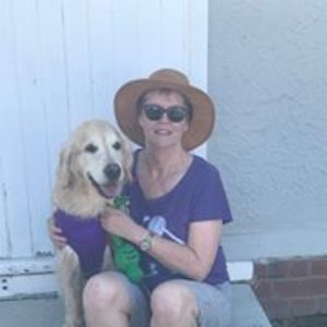 willowhorizon avatar