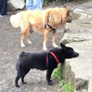 nancysfarrell avatar