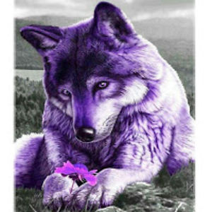 elizabethparson avatar