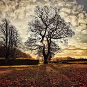 lorraine_emsley_11 avatar