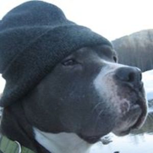 chrisleblanc1974 avatar