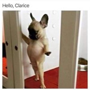 jasonmcgurren avatar