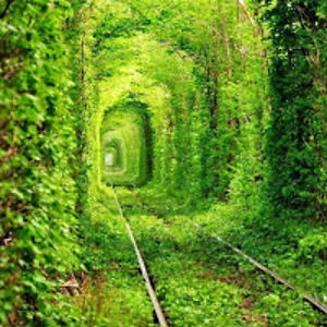 esmevilarinho avatar