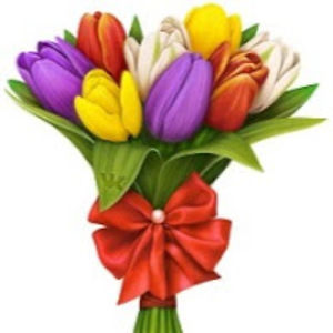 ceceliakennedy avatar