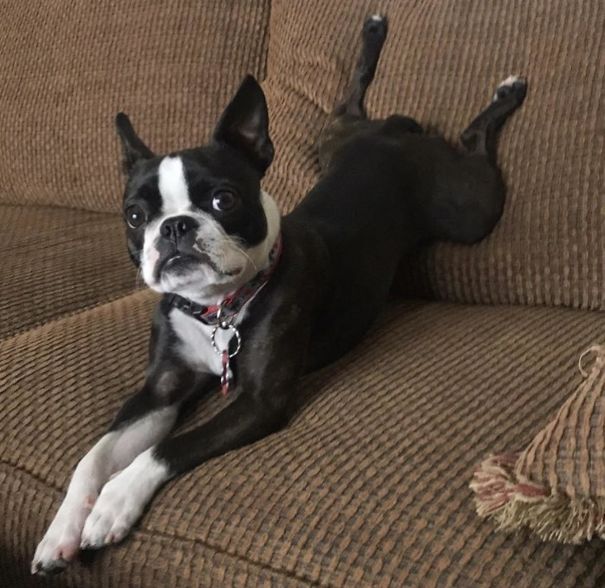 This Is How Legs Work