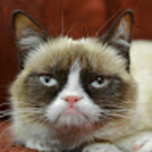 ennahbackwards avatar