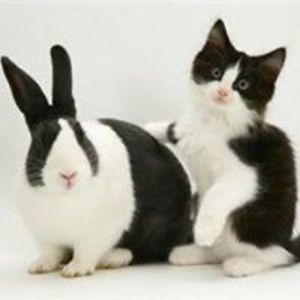 earring_freak avatar