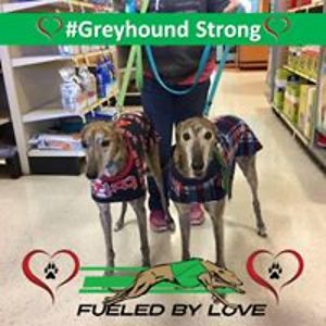 margie_harrison avatar