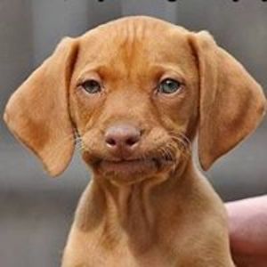 g_allenhodges avatar