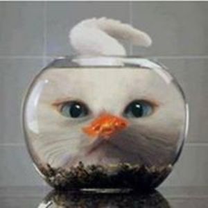 dyann_espinosa avatar