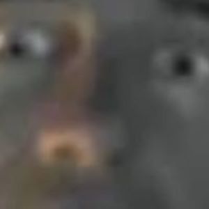 majesticbudderboy1337 avatar