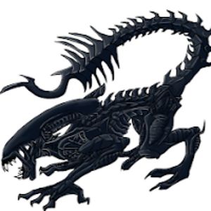 matthewrikard avatar