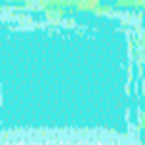 lindsaysarvis avatar