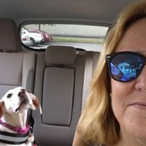 robincannon11 avatar