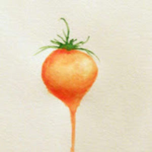 dirigibleplumm avatar