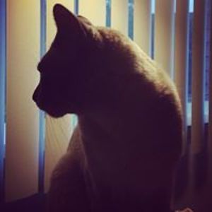 tiantian_daily avatar