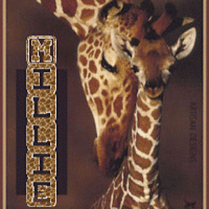 millieoconnor avatar