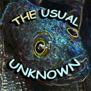 theusualunknown