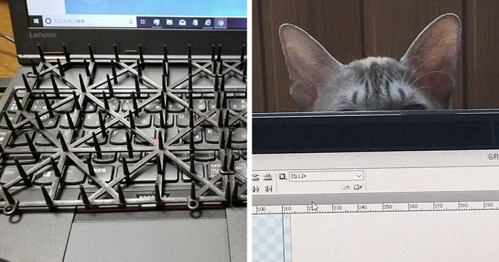 Japanese Man Creates Anti-Cat Keyboard Protection, Tests It On His Cat