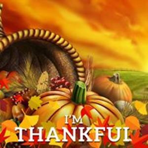 cindyrafalowski avatar