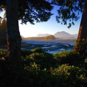 rmutis_dmutis avatar