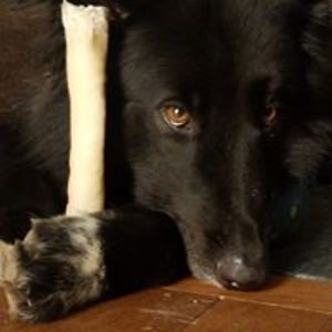 kstafford1967 avatar