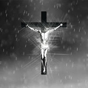 anushibinjosephraj avatar