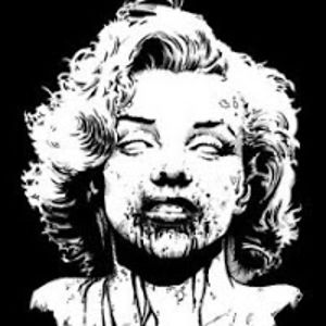 johanmalherbe avatar