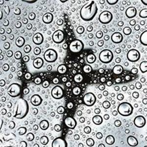 johansenvirginia avatar