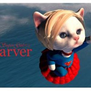 crazy4cats7491 avatar