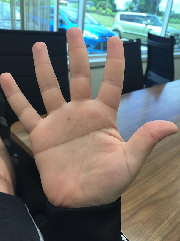 I Have A Single Line Across My Palm