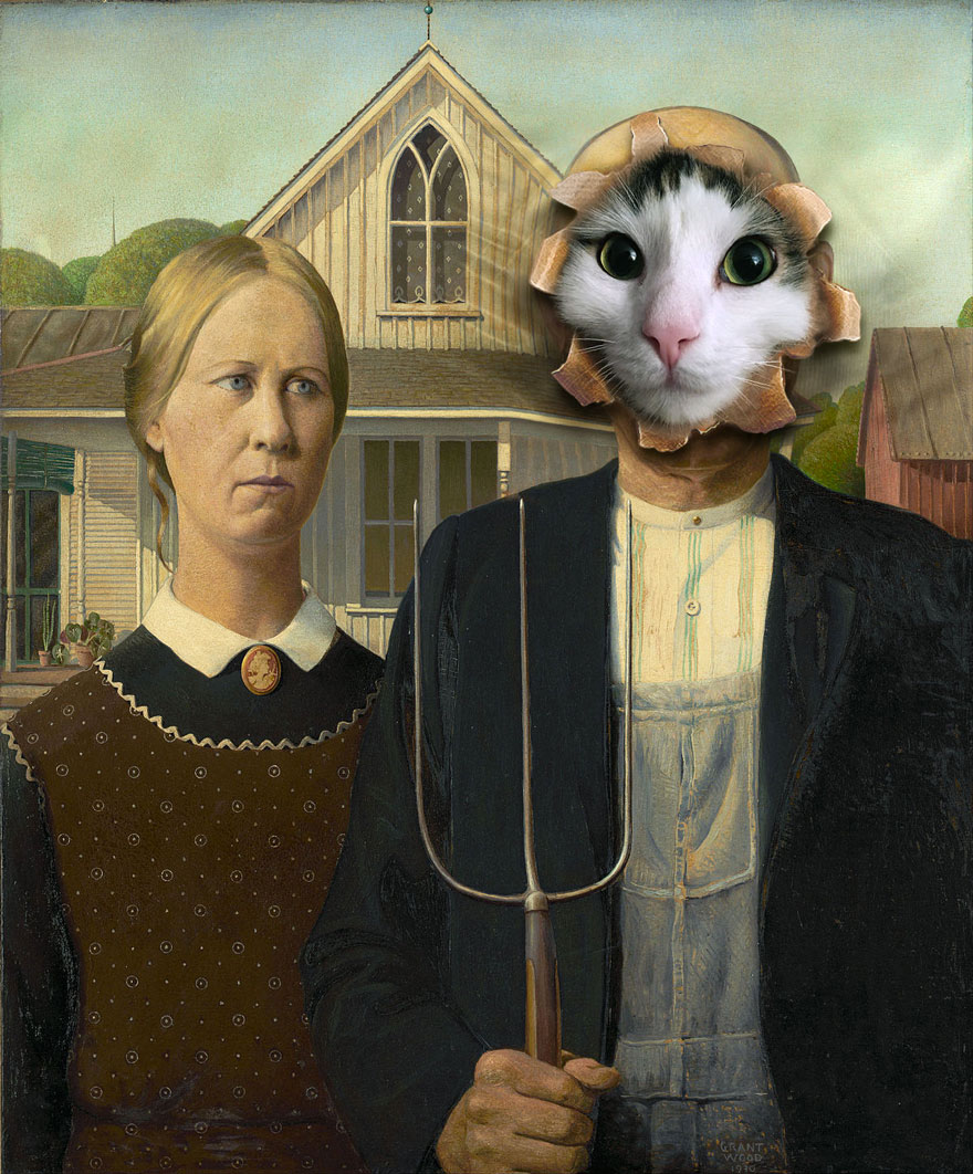 Cats-Photoshop-Funny-Cakes1todough1