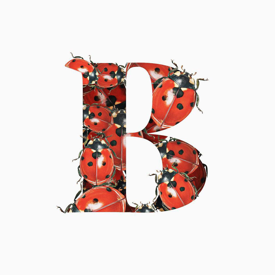 I Started Drawing Alphabet Letters To Overcome My Creative Struggles I Started Drawing Alphabet Letters To Overcome My Creative Struggles