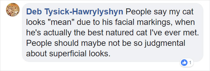 A Man Found The Grumpiest Cat Ever That Was Badly Injured In The Streets Of London