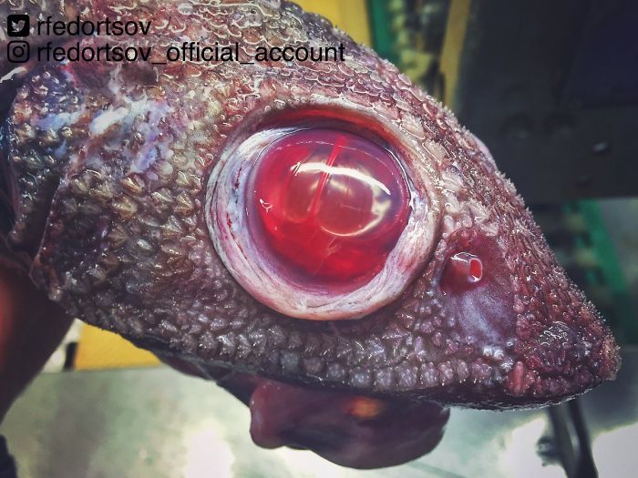 "When Somebody Didn't Get Enough Sleep Once Again"