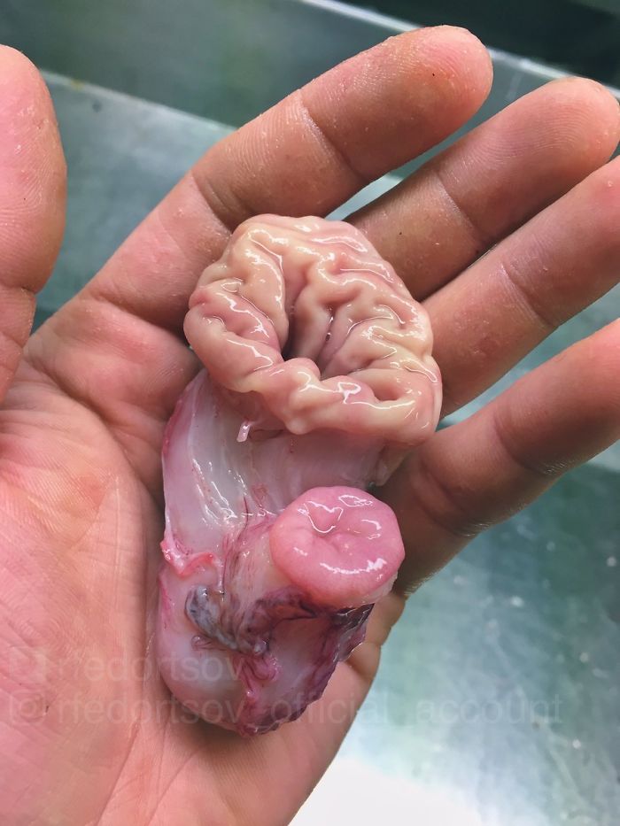 "This Photo Is To Make Your Day"