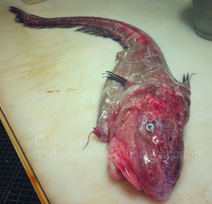 "Successful Weekend"