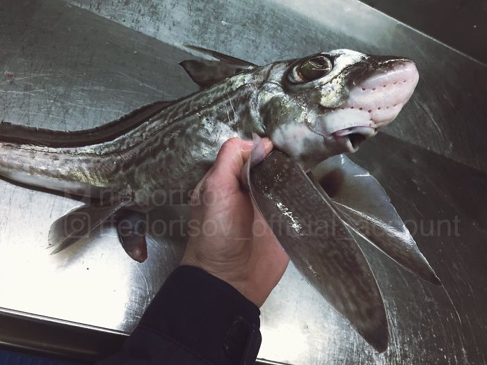 "Beautiful Or Scary?"